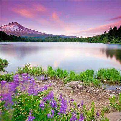 新manbetx-万博全站截图